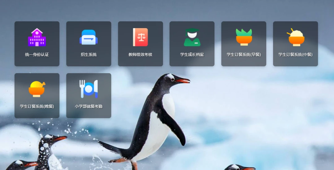 业余篮球爱好者在哪里可以找到表演赛资源_2